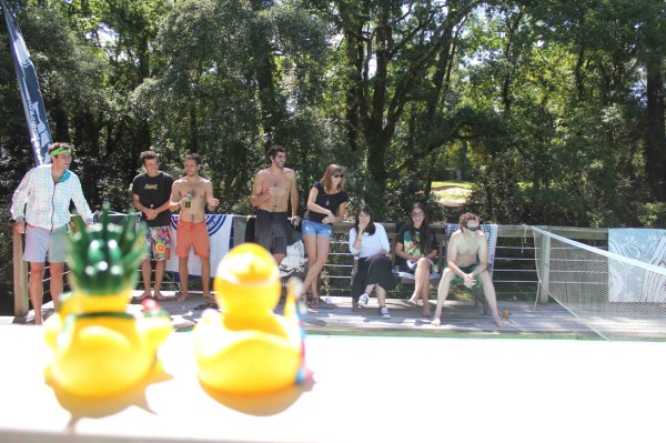 Sous les regards des Canetons, la compétition peut démarrer