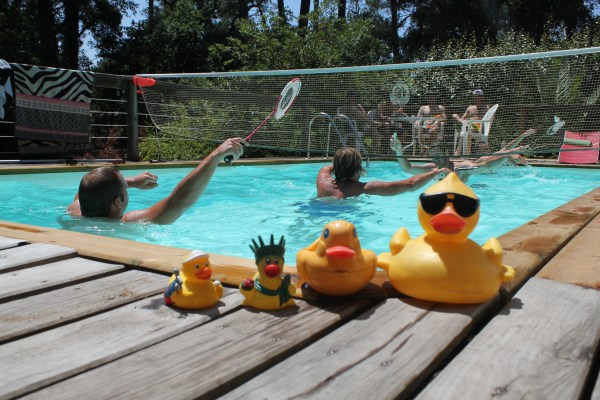 Jansseb : rookie of the year, résiste aux attaques d'Esteban